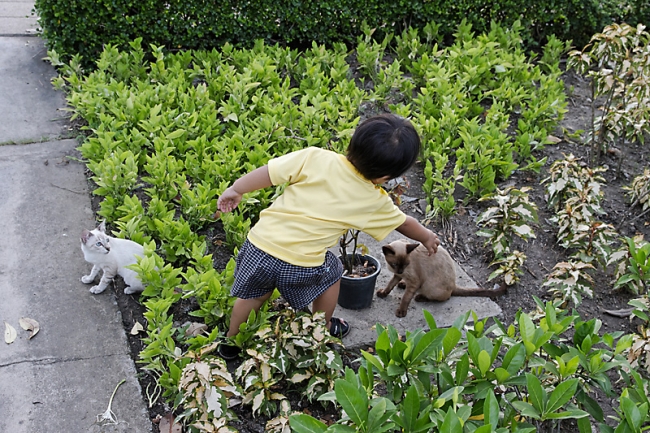 Famille et Amis Mai 2010-090